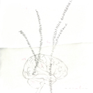 Bilderr&auml;tsel #7