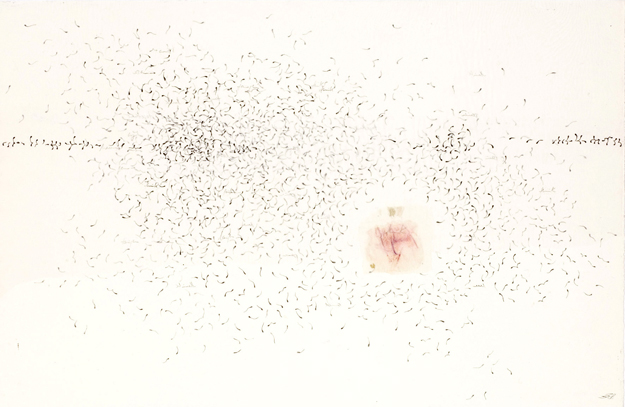 Schmetterlingseffekt #1