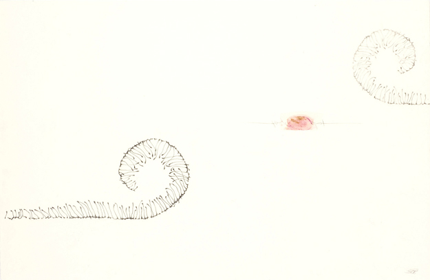 Schmetterlingseffekt #2