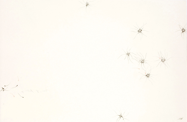 Schmetterlingseffekt #6